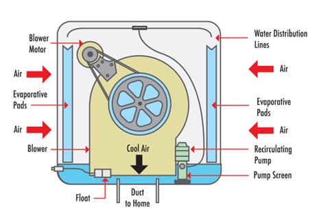 evaportative-cooler-ccpia